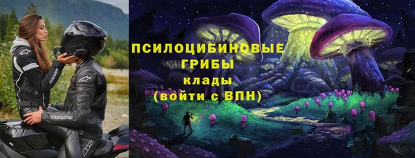 ешки Алексеевка