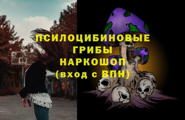 ECSTASY Алексин