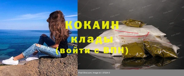 apvp Алзамай
